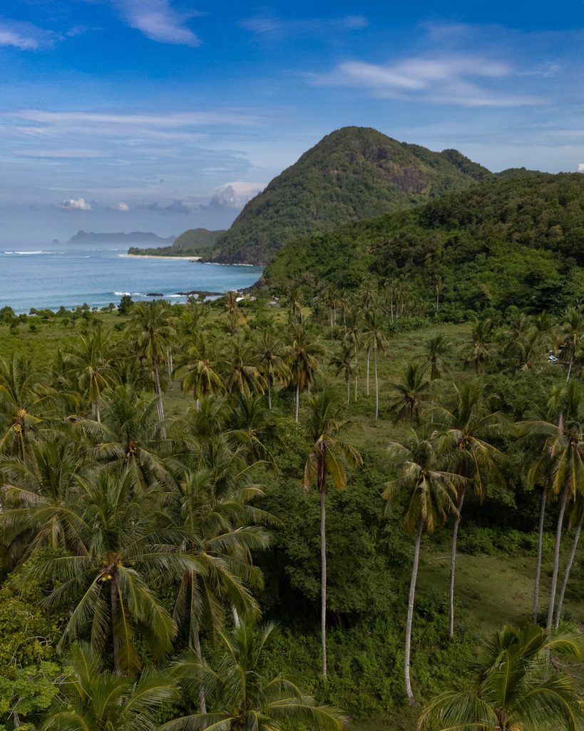Voyage à Lombok, Selong Belanak palmiers et océan
