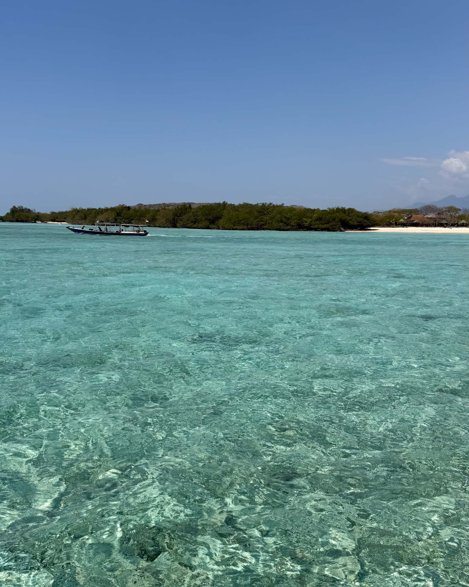 Eau cristalline de l'île de Menjangan, Bali